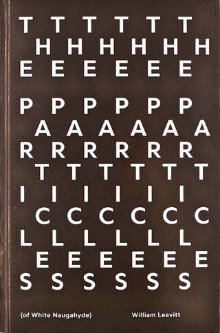 THE PARTICLES (of White Naugahyde) THE PARTICLES (of White Naugahyde) – book cover closed