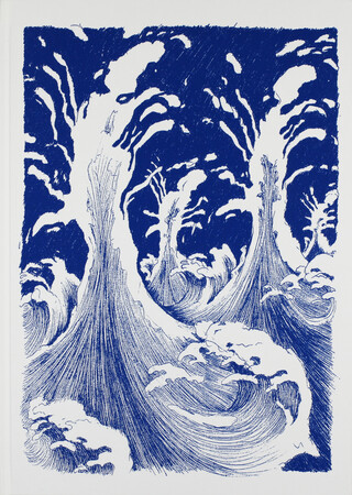 DIE WANDLUNGEN DIE WANDLUNGEN – book cover closed