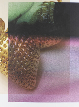 Paradise Paradoxe (English Edition) Paradise Paradoxe (English Edition) – book cover closed