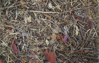 Steingesichter Steingesichter – book cover closed