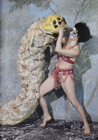 The Supreme Deluxe Essential Monster Chetwynd Handbook The Supreme Deluxe Essential Monster Chetwynd Handbook – book cover closed