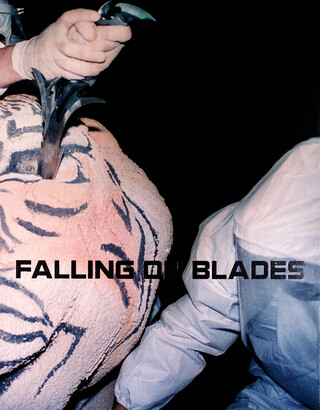 Falling on Blades Falling on Blades – book cover closed